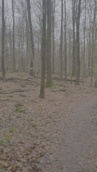 20250130_104622.mp4