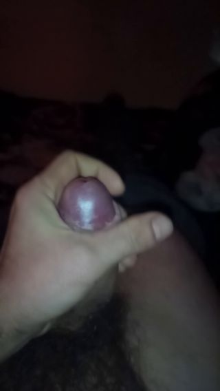 VID_20250208_023849_118.mp4