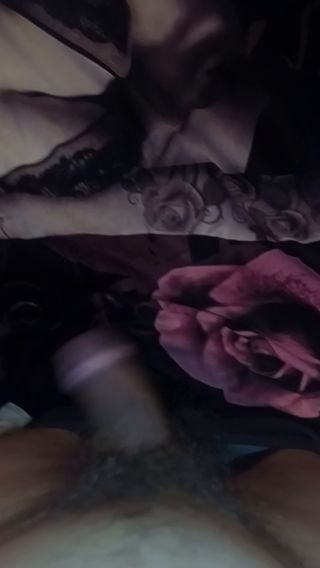 VID_20250209_002741_354.mp4