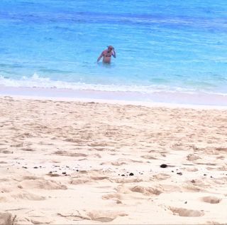 VID_20241117_113815~3.mp4