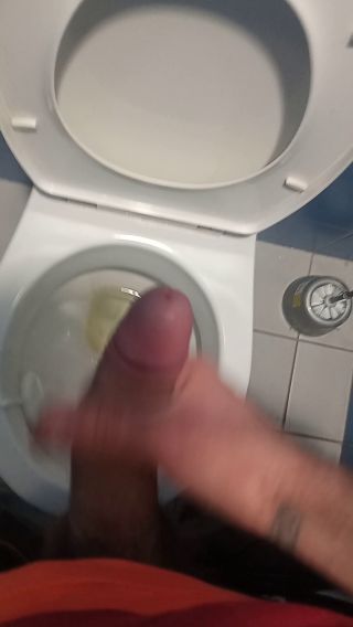 VID_20250227_112932.mp4