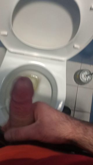 VID_20250227_112932.mp4
