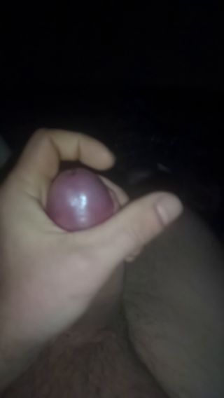 VID_20250303_035015_416.mp4