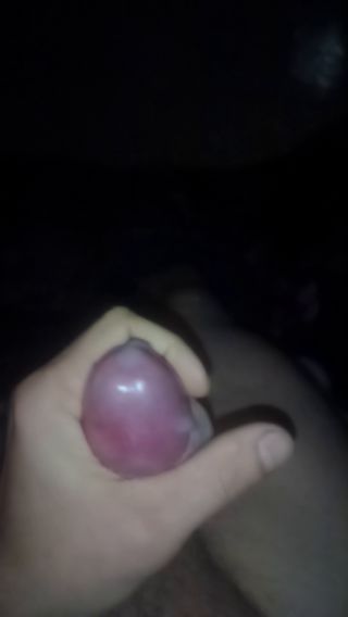 VID_20250305_023231_060.mp4