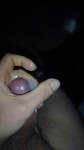 VID_20250313_043414_955.mp4