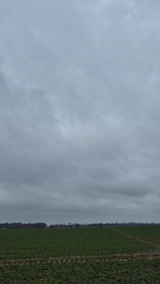 1000020958.mp4