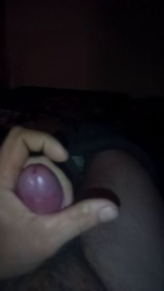 VID_20250325_025244_773.mp4