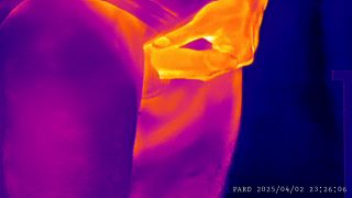 PARD_20250402_232606.MP4