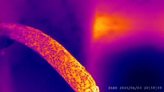 PARD_20250403_205958.MP4