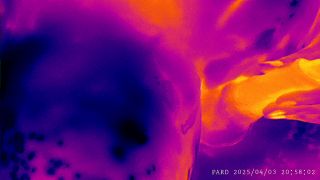 PARD_20250403_205801.MP4