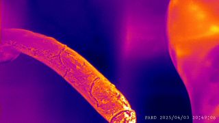 PARD_20250403_204905.MP4