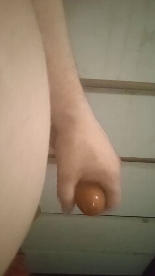 VID_20250411_160637.mp4