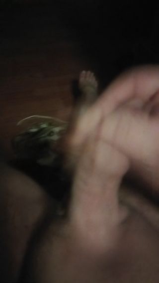 Biejust