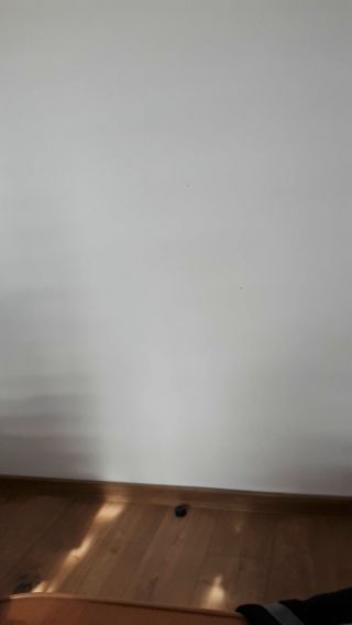 20250413_162325.mp4