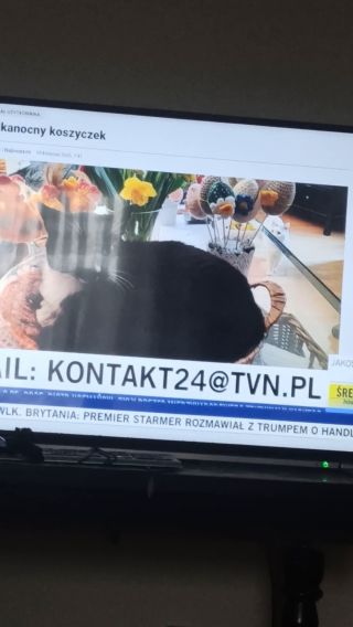SkromiutkiWacek24