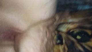 Vipeczek
