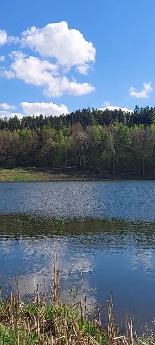 20250426_162547.mp4