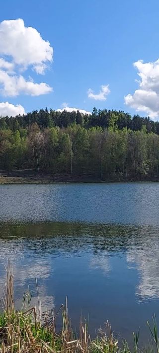 20250426_162547.mp4