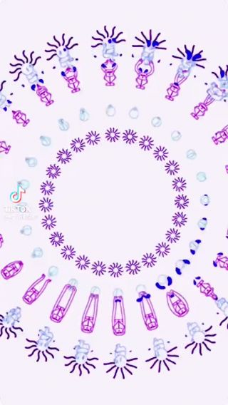 1000000138.mp4