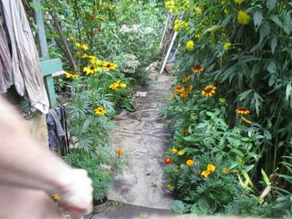 MVI_7945.MOV