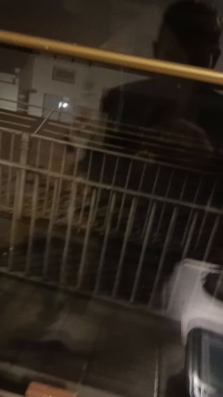 VID_20250505_010133819.mp4