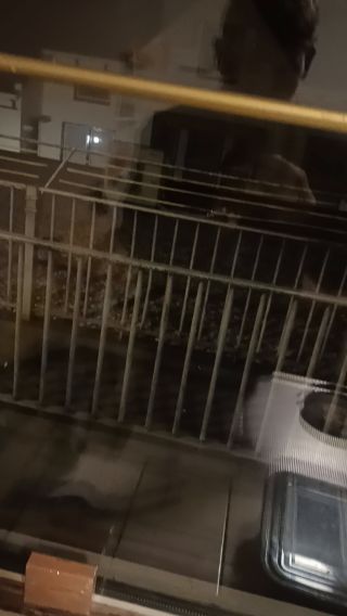 VID_20250505_010133819.mp4