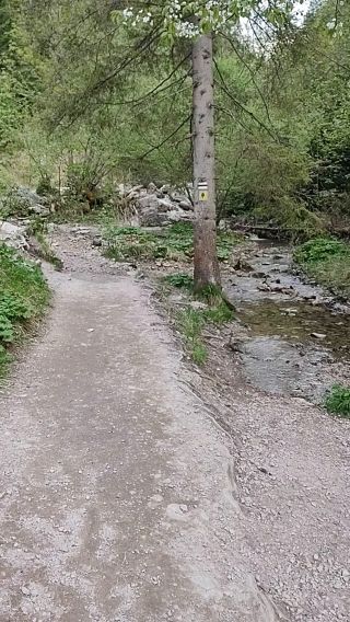 VID_20250503_174623719.mp4