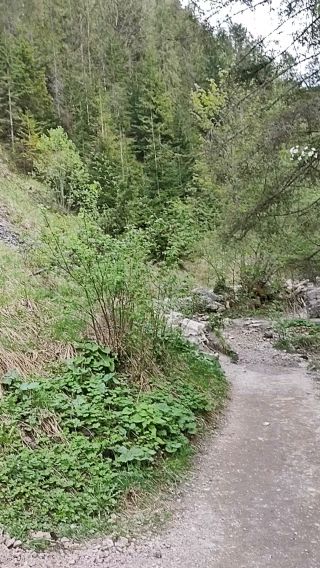 VID_20250503_174623719.mp4
