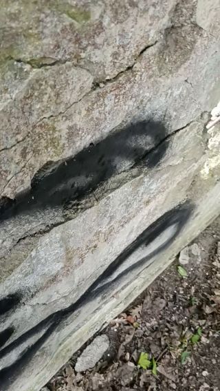 1000081989.mp4