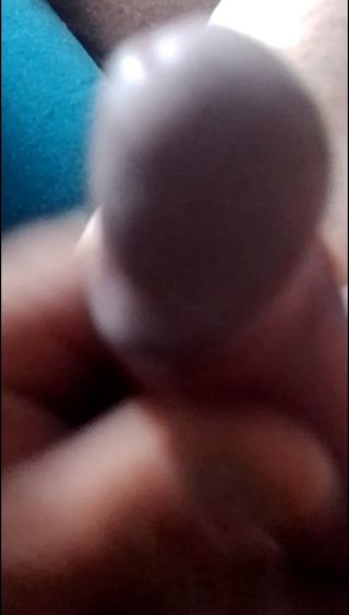 Pitbulllll
