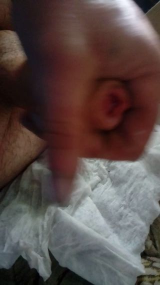 NaSexchetnylca