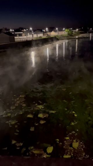 50cb115de37746f889c89ddf61e7be3c.mov