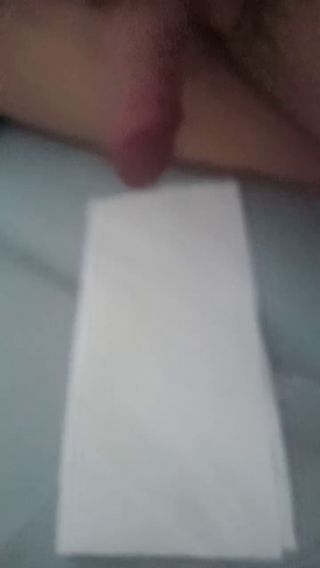 ongdynia87