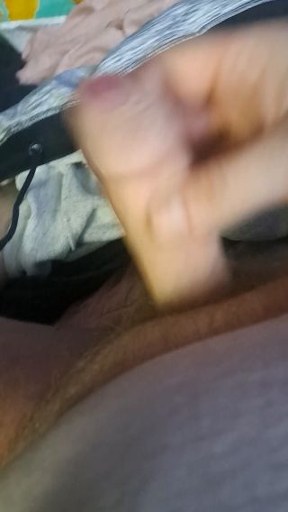 karol0231