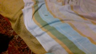 WIN_20250531_06_47_07_Pro.mp4