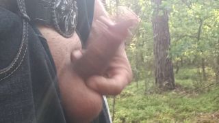 VID_20250619_175228_171.mp4