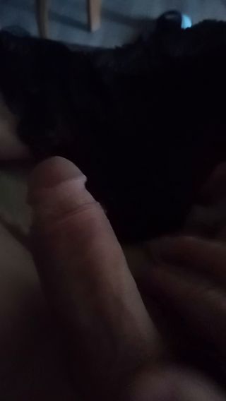 pusia70