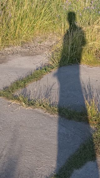 Dickhead_