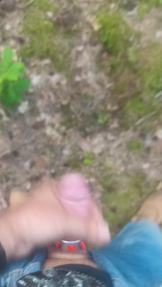 VID_20250803_153954_447.mp4