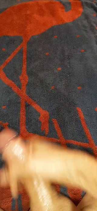 20250809_214814224.mp4