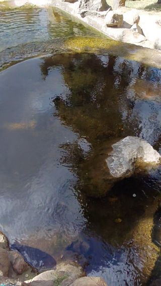 1000004082.mp4