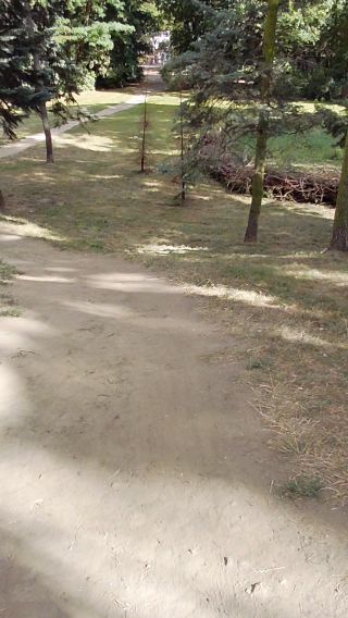 1000004085.mp4