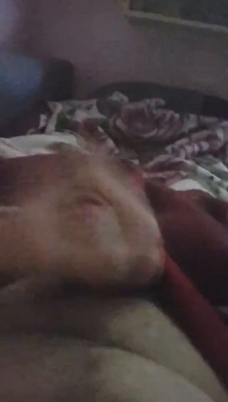 Snapchat-29240243.mp4