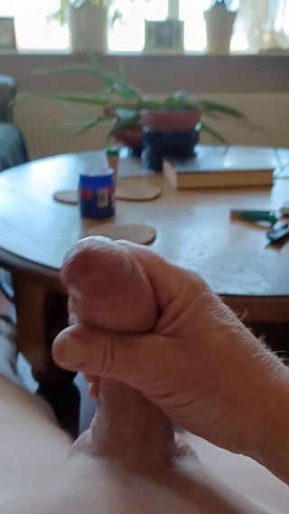 bodi7