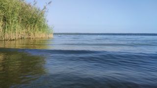 Naga plaża