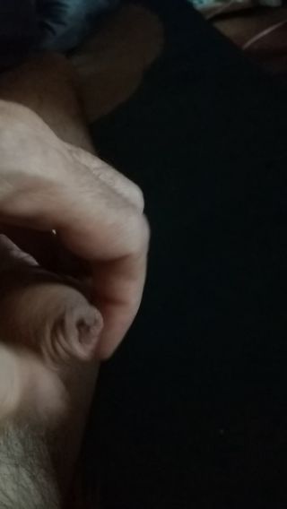 PANdora1234