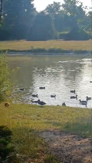 VID-20250901-WA0026.mp4