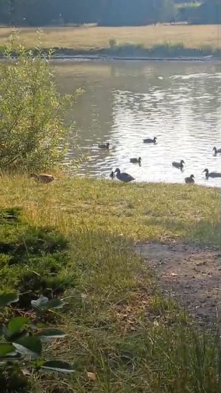 VID-20250901-WA0026.mp4