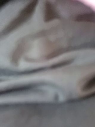 pellt