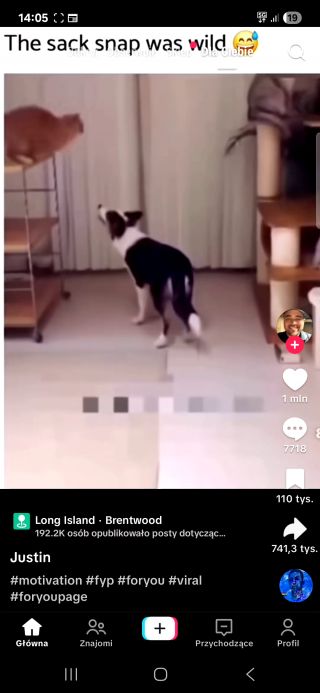 279.mp4